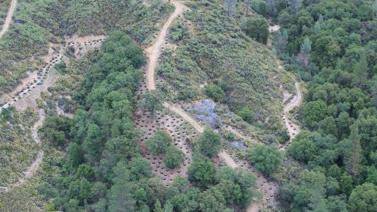 Teng Vang, 41, of Sacramento was fined $83,187 for having unpermitted construction done on his Shasta County marijuana grow site.