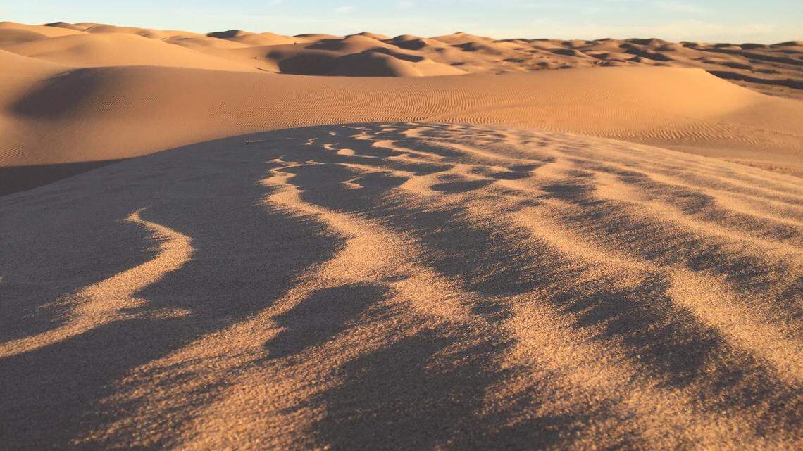 A 29-year-old film student at Chapman University in California died at Imperial Sand Dunes Recreation Area, police told news outlets.