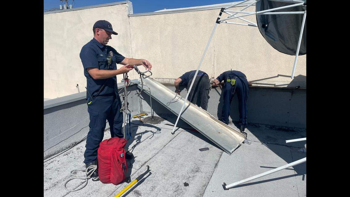 Firefighters said they freed the dog, who was unharmed, from the crack.