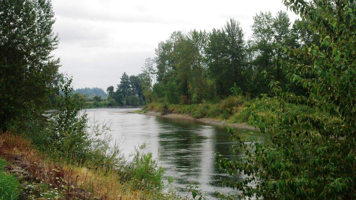 A mom clung to roots in the Santiam River in Oregon as crews responded to the family’s distress call, officials said. (Photo by M.O. Stevens, CC BY 3.0, via Wikimedia Commons)