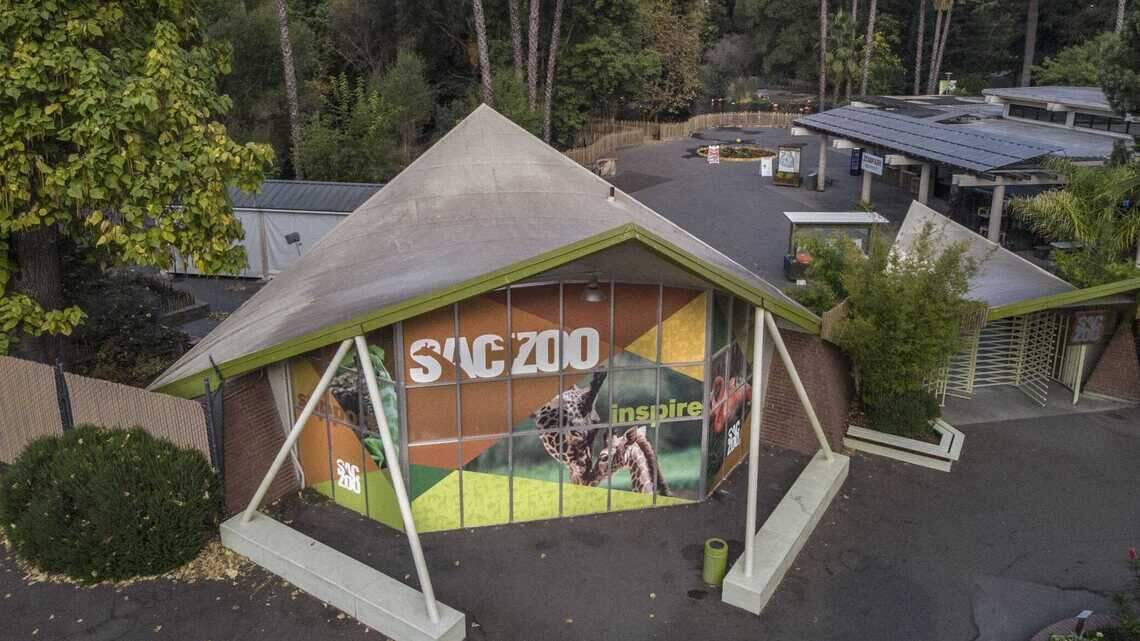 Tickets to this Sacramento Zoo event cost $300 per person. Here’s where the money will go