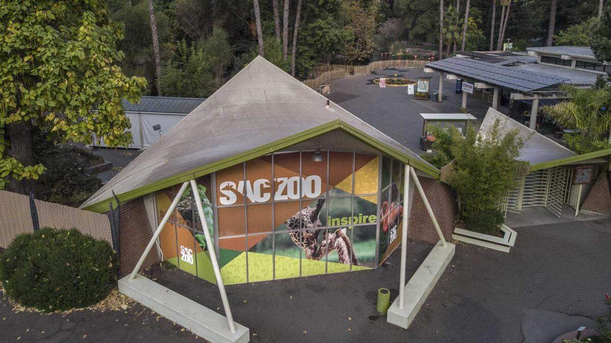 The Sacramento Zoo will host a gala in September to raise money for its new location in Elk Grove. Guests will be able to hear music on the grounds with drinks, dinner and more.