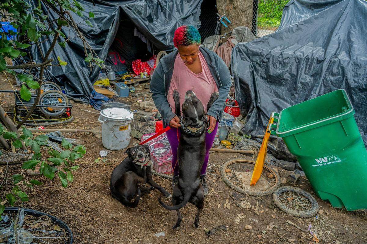 Elizabeth Williams, 37, pets Brandi Mae as Harley Quinn sits beside them outside her tent on March 19 in South Natomas. Williams has four dogs, which she said are all now registered as emotional support animals, and she hopes this will help her get housing. She said that when the police came and saw the dogs were friendly, she realized she would be arrested — because they couldn’t protect her.