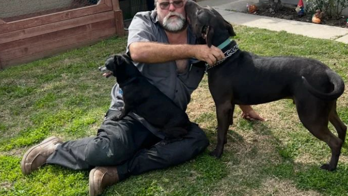 Bruce the “unwanted” dog waited longer than a year for someone to finally adopt him from an animal shelter in California. 