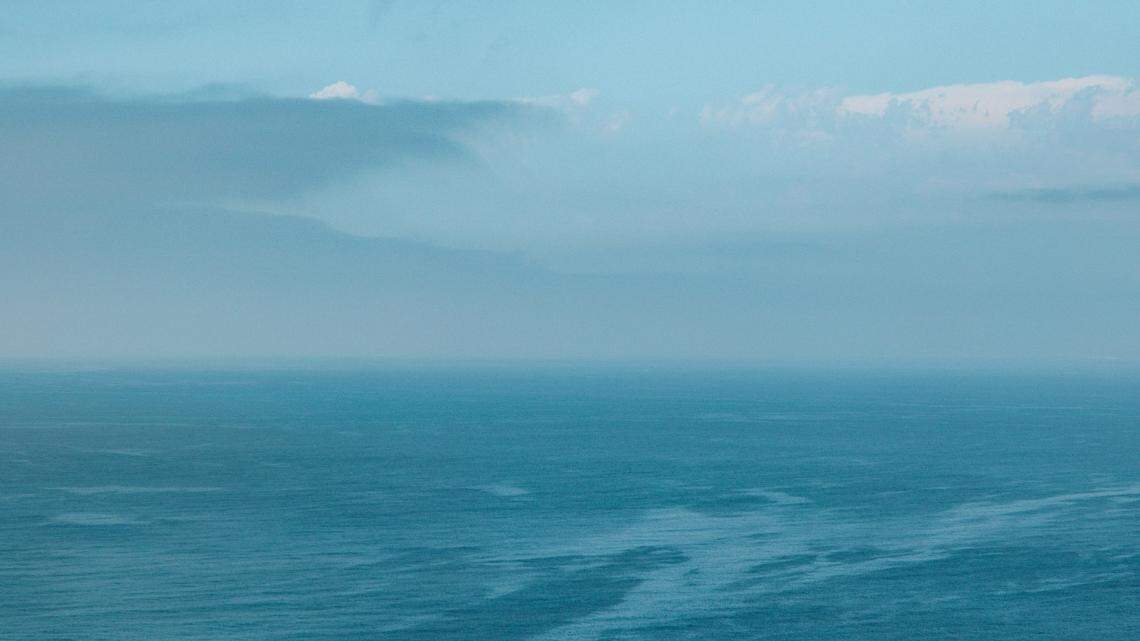 A bull elephant seal saved a pup being swept out to sea at Point Reyes National Seashore in 2022, puzzling researchers.