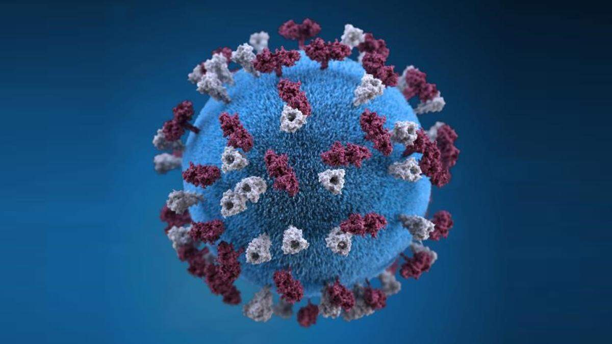 A 3D model shows a visualization of the measles virus.
