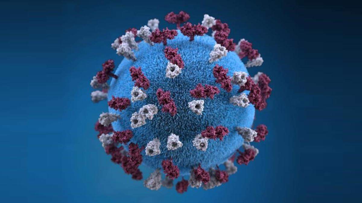 A 3D model shows a visualization of the measles virus.