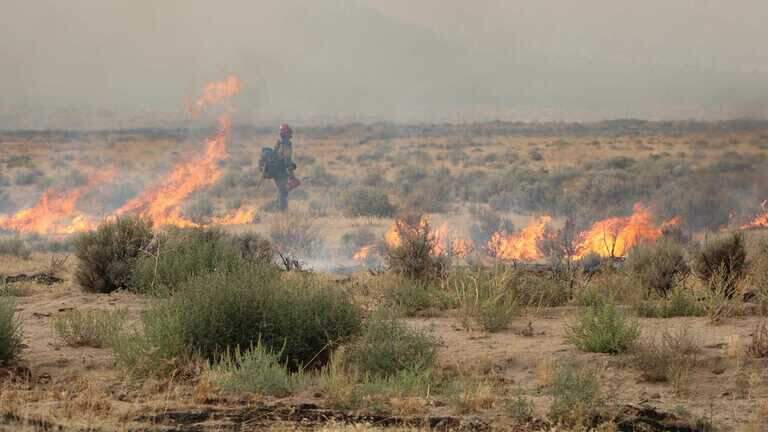 2 injured in sprawling Bug Fire flown to Sacramento burn center as wildfire grows