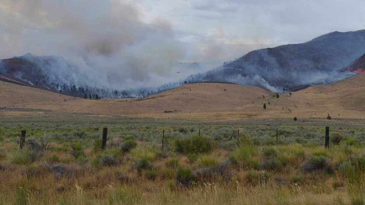 A burn scar is seen on the Elephant Fire burning north of Loyalton on July 12. Firefighters have gained significant ground on the roughly 13,000-acre wildfire after a wetting rain Monday night, although updated mapping Wednesday listed the fire as 31% contained.