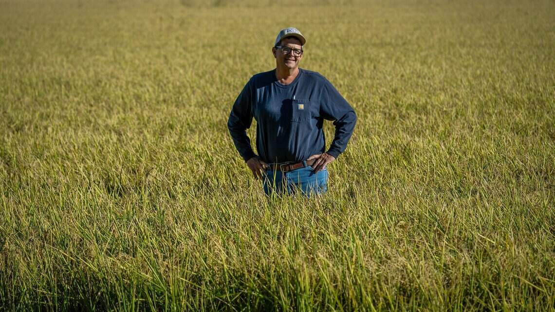 Tariffs, trade, Trump: Sacramento-area’s agriculture community weighs in on midterms
