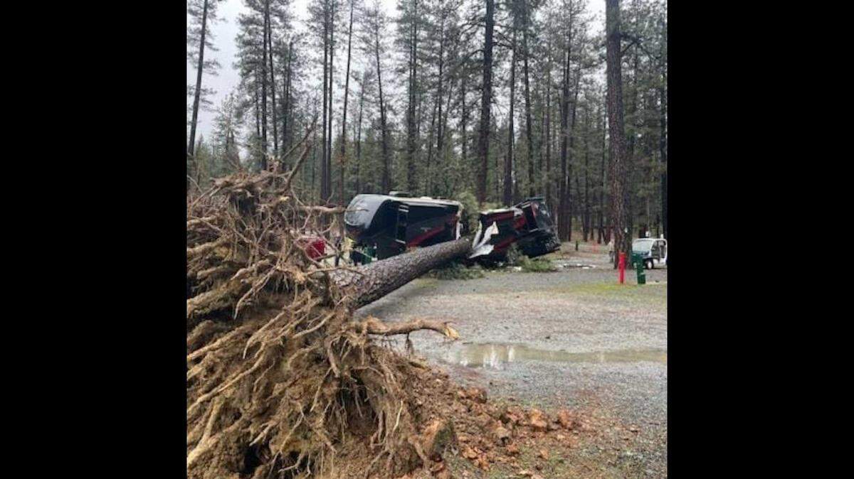 Firefighters with the Nevada County Consolidated Fire District rescued a woman and her two dogs near Nevada County Fairgrounds on Thursday after a tree fell on an RV amid a storm.