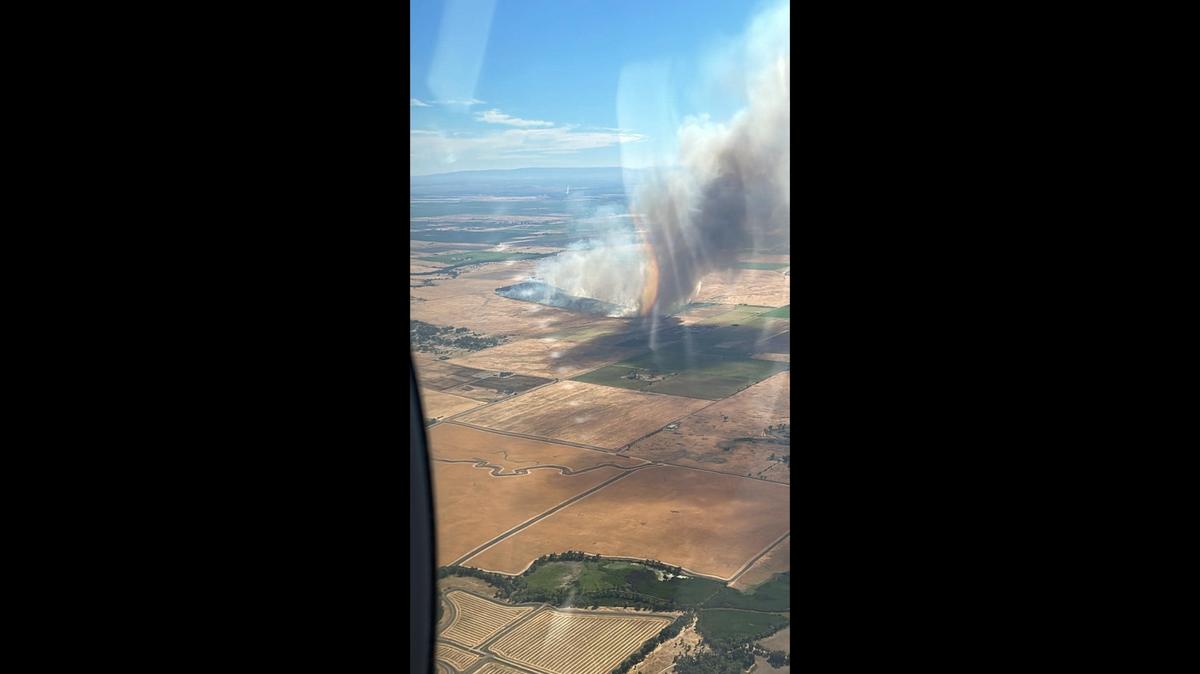 A fire reached about 50 acres near Roseville on Monday. It was burning with a “dangerous rate of spread,” Cal Fire officials said. Forward progress was stopped at about 350 acres by 5;45 p.m.