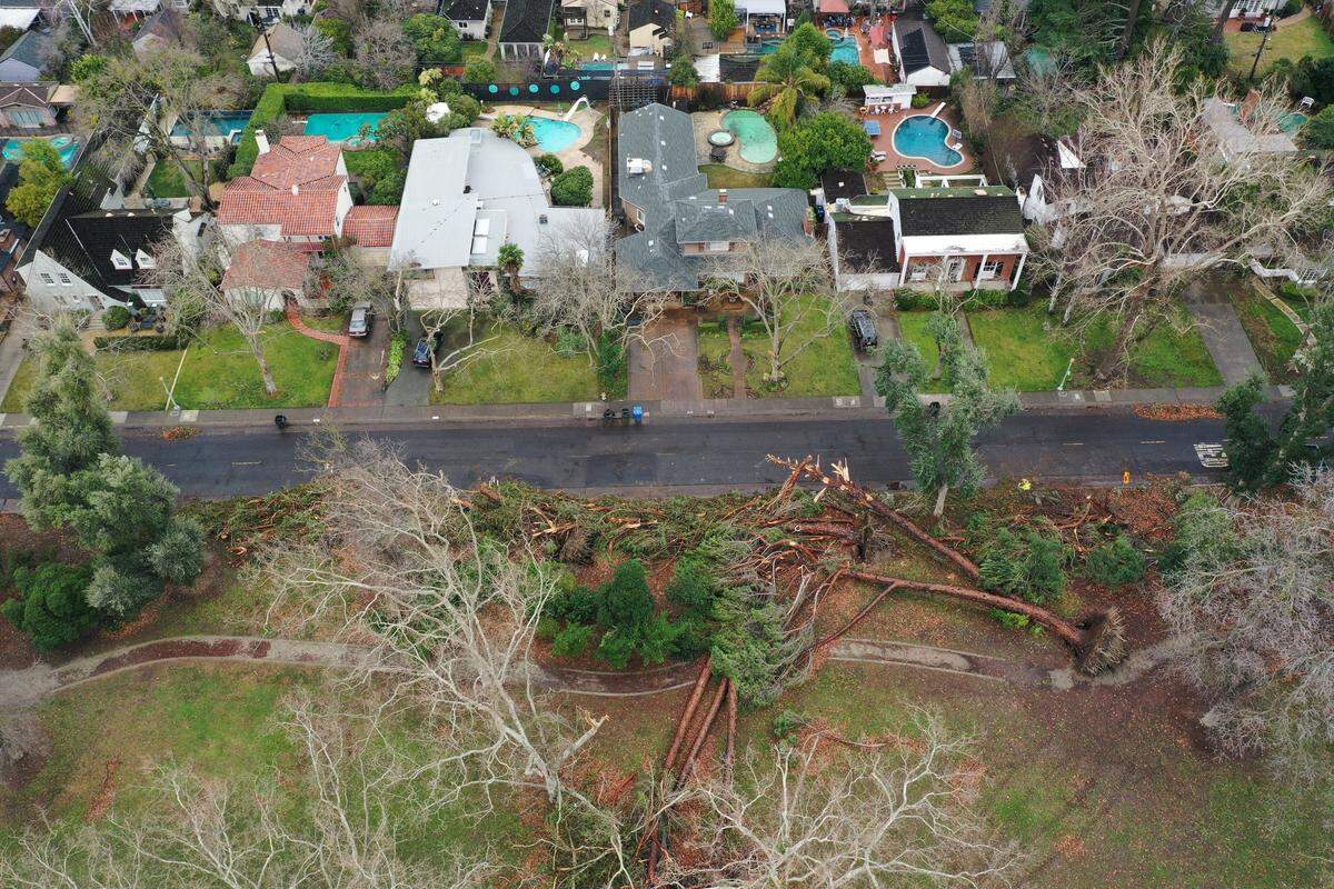 Trees lay scattered near a walking path at William Land Park along 11th Avenue on Wednesday after a series of severe storms caused extensive damage across the region.