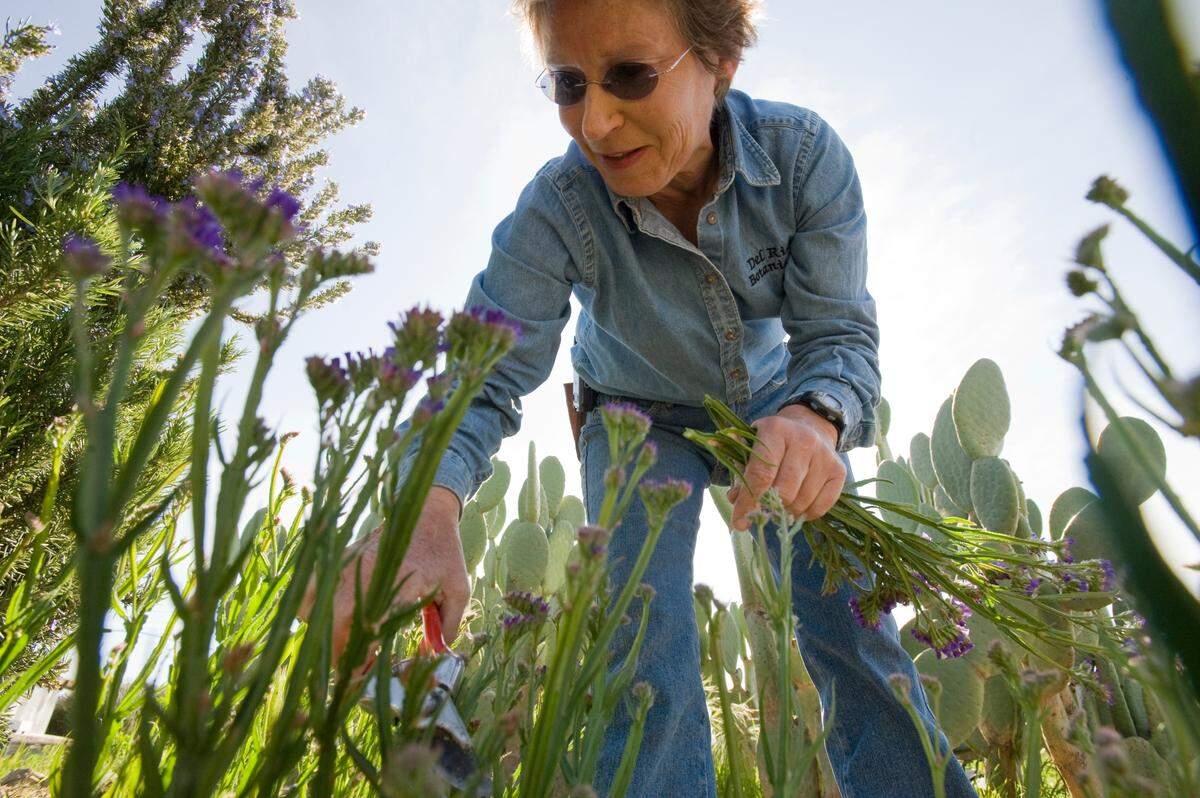 Suzanne Peabody Ashworth picks some flowers from her garden at her family’s Peabody Ranch on April 1, 2009, where she farms 68 acres of organic vegetables, including hundreds of different crops. Her produce is featured in many of the best restaurants in the area.