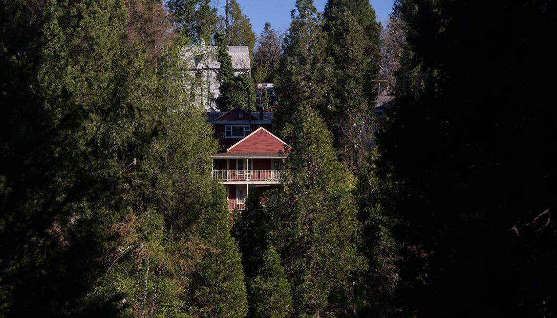 Many homes in Nevada City are surrounded by dense trees. State Farm is just the latest major company to cut coverage in California.