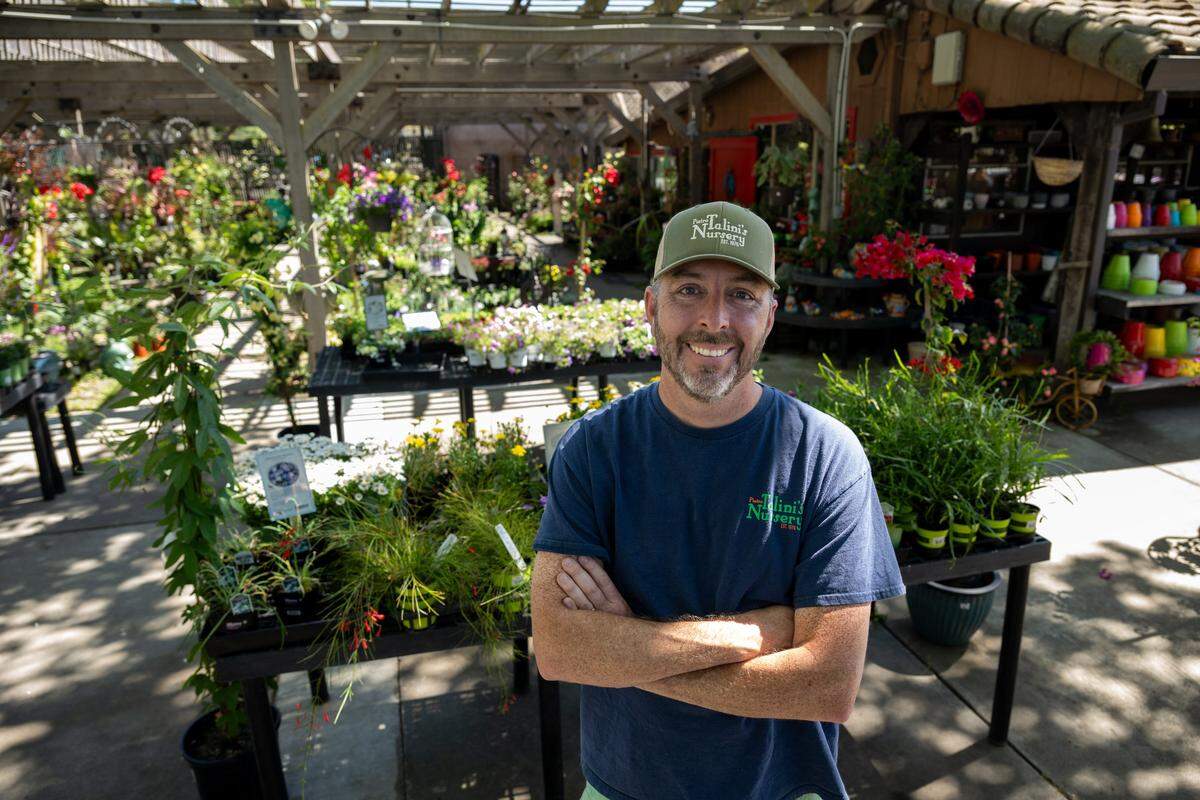 Nursery manager Kevin Johnson, grandson-in-law of original owner Pietro Talini, stands at Talini’s Nursery in Sacramento on Tuesday.