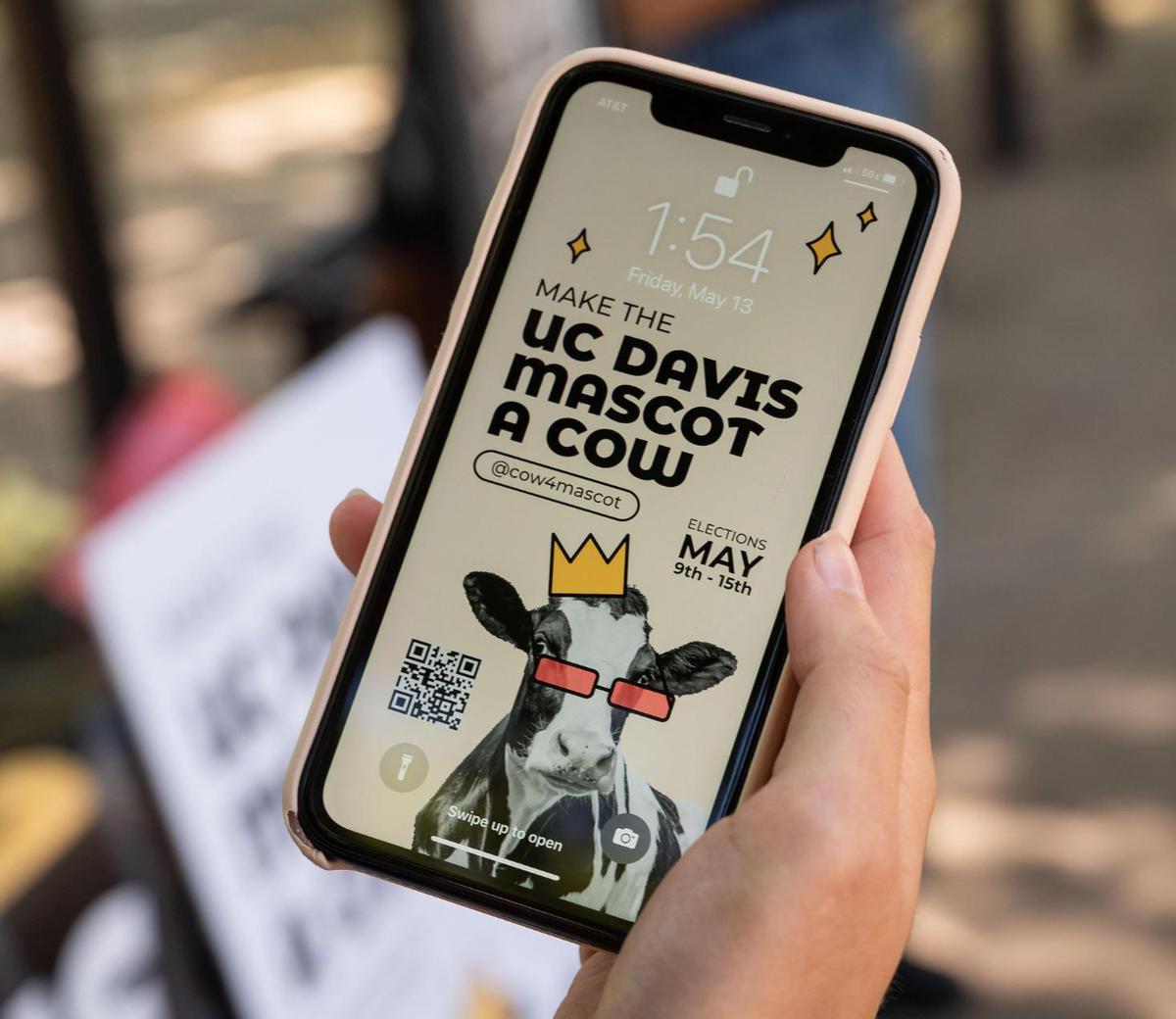 UC Davis student Reece Kuramoto, among a group campaigning to have the school mascot changed from a mustang to a cow, displays a lock-screen image while tabling Friday, May 13, 2022, on campus in Davis.