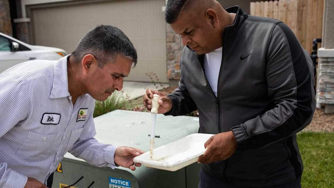Central Valley hatches plan for engineered mosquitoes to battle stealthy, biting predator
