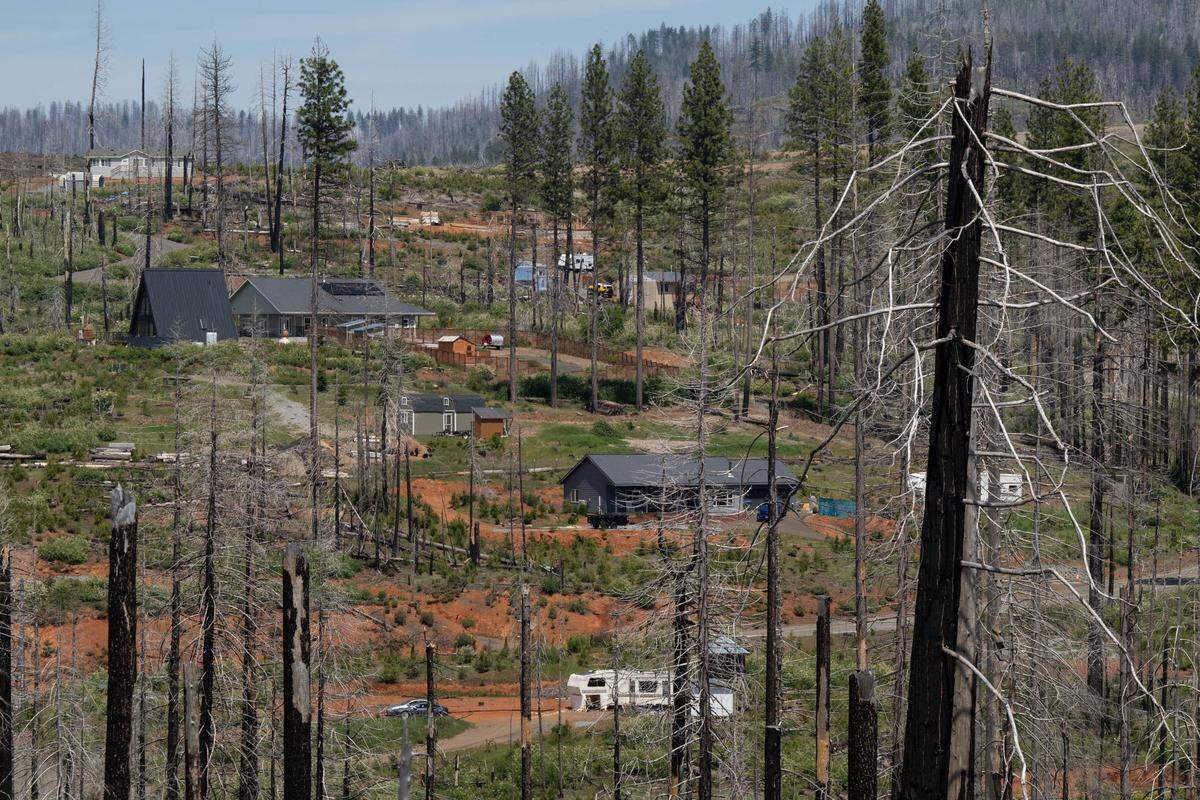 A few rebuilt houses stand among fire-damaged trees in Grizzly Flats earlier this month. The 2021 Caldor Fire burned 221,835 acres in the Eldorado National Forest and surrounding areas.