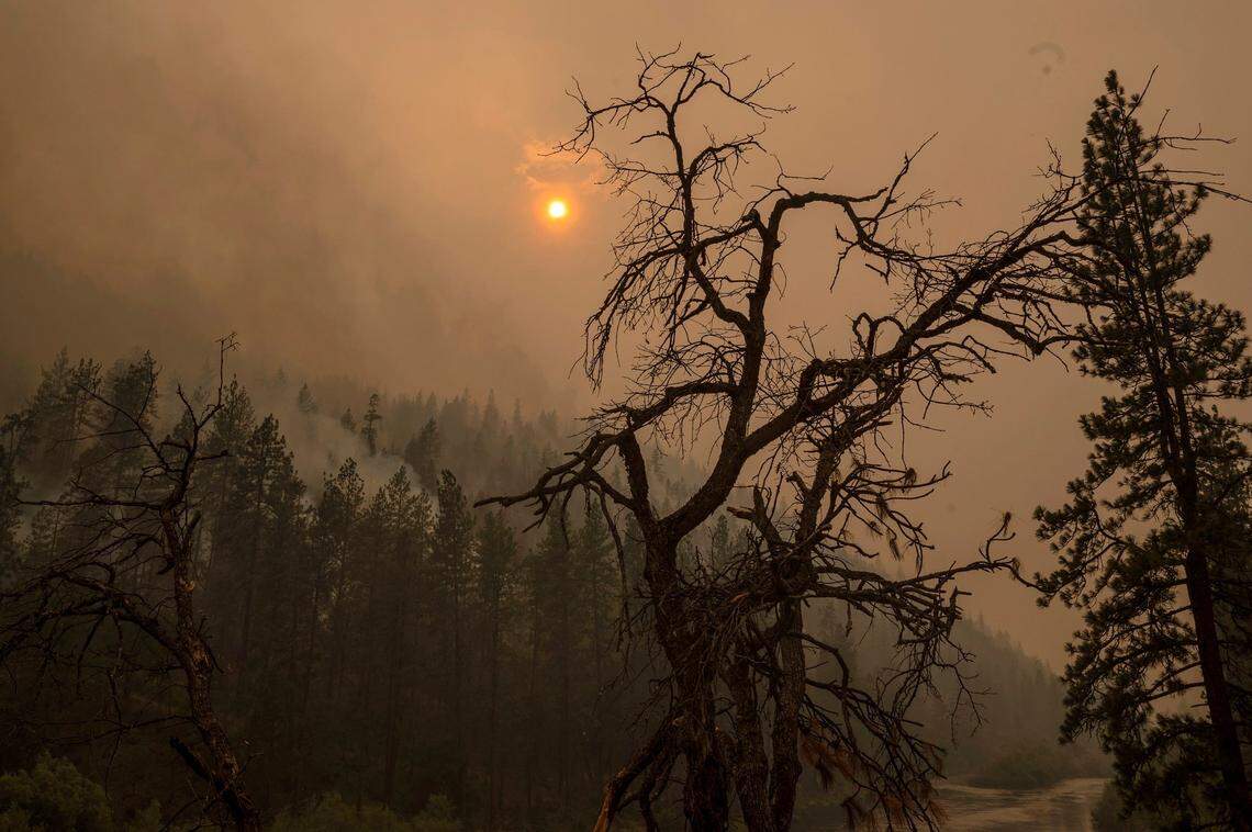 The sun glows through smoke along Highway 96 as the McKinney Fire burns in Klamath National Forest in Siskiyou County on Sunday..