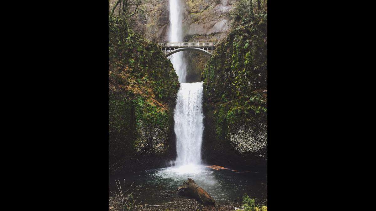 A father of five died after falling 200 feet off a trail on a family hike to Multnomah Falls, Oregon officials say.