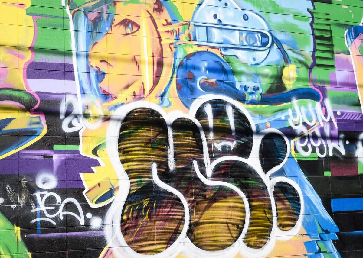 Graffiti defaces a mural on Powerhouse Alley near 19th Street in midtown Sacramento on Monday, Feb. 24, 2020.
