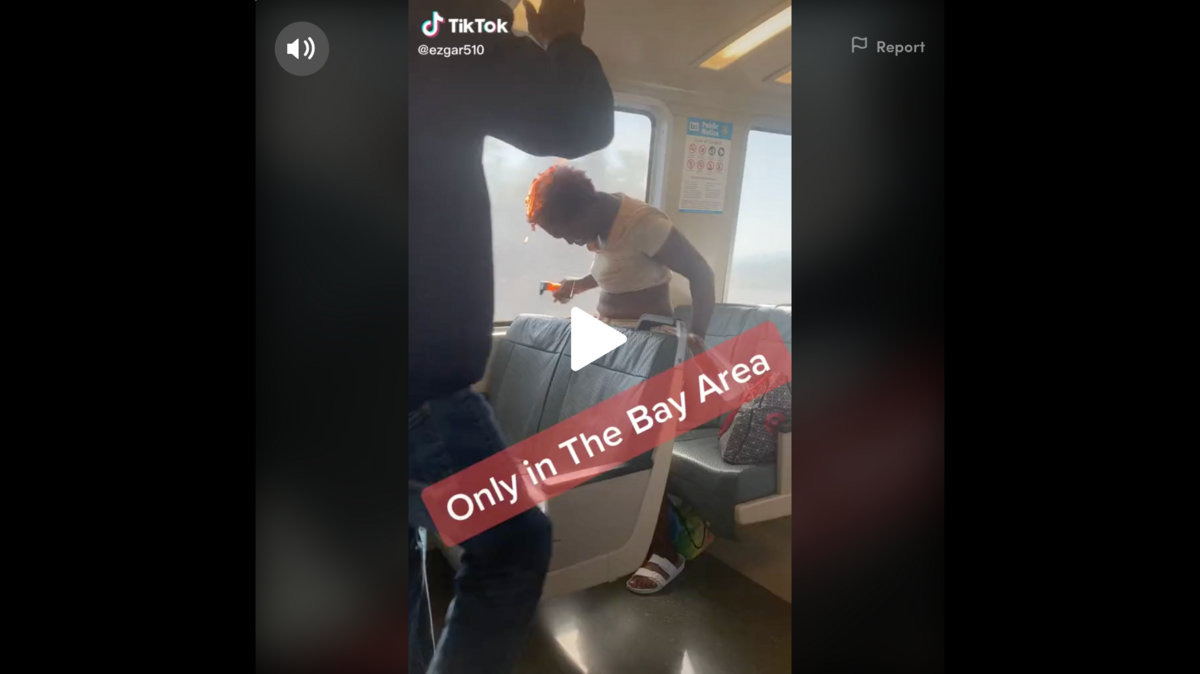A woman set her hair on fire on a BART train in CA and dove underneath a seat to extinguish it, a TikTok video shows. The woman set it on fire and it doesn’t appear to be assault, BART police said.