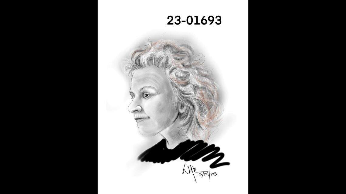 An artist’s sketch of a woman found dead after she was hit by a vehicle May 14 on Intereste 880 in San Jose.