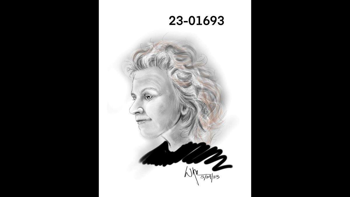 An artist’s sketch of a woman found dead after she was hit by a vehicle May 14 on Intereste 880 in San Jose.