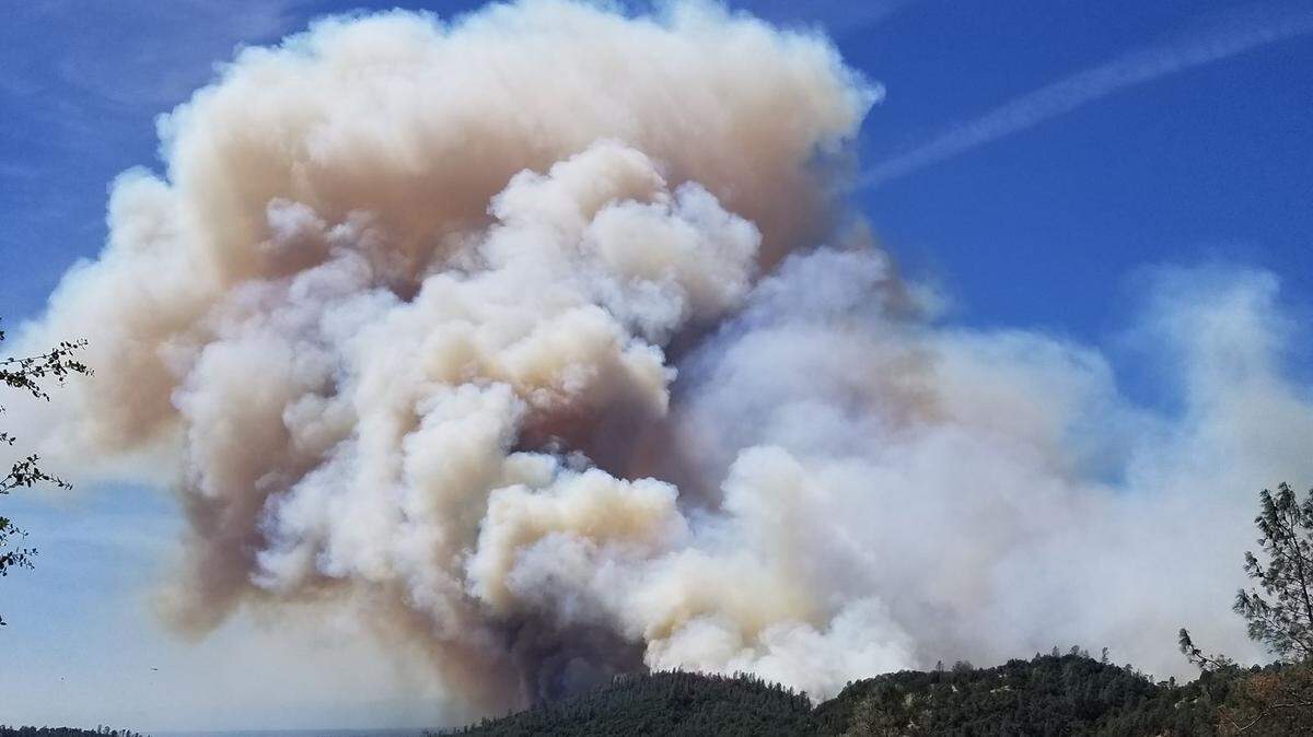 “Truck is packed,” a Facebook user said, updating neighbors and friends on her status during the Mountain Fire on Thursday. “I have the car.” With nearly 4,000 residents and 1,100 homes threatened by the blaze in Shasta County, affected communities are turning to social media for updates, support and assistance. 