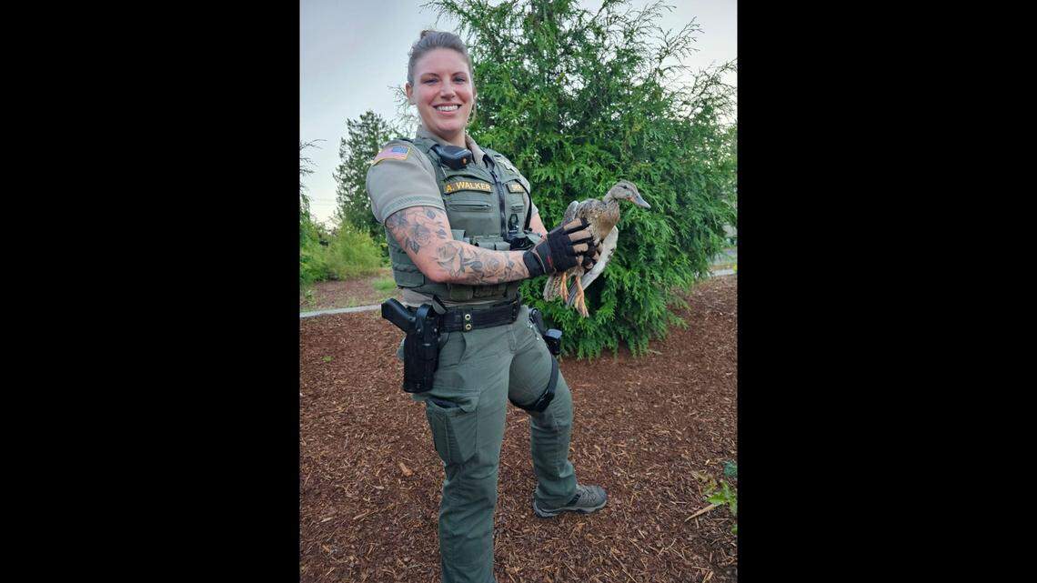 A deputy stepped in after getting reports of an injured duck being bullied by other ducks, Oregon officials said.