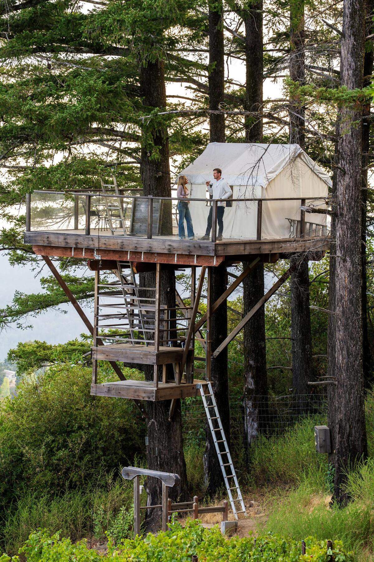 A 40-foot treehouse, famously featured in National Geographic, and a Lotus Belle Yurt draw travelers and artists from around the globe to the unique, creative heart of Lago Lomita.