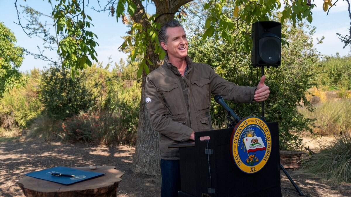 California State Governor Gavin Newsom has press conference at Sierra Orchards walnut farm in Winters in Solano County on Wednesday, Oct. 7, 2020. Newsom signed an executive order on climate change.
