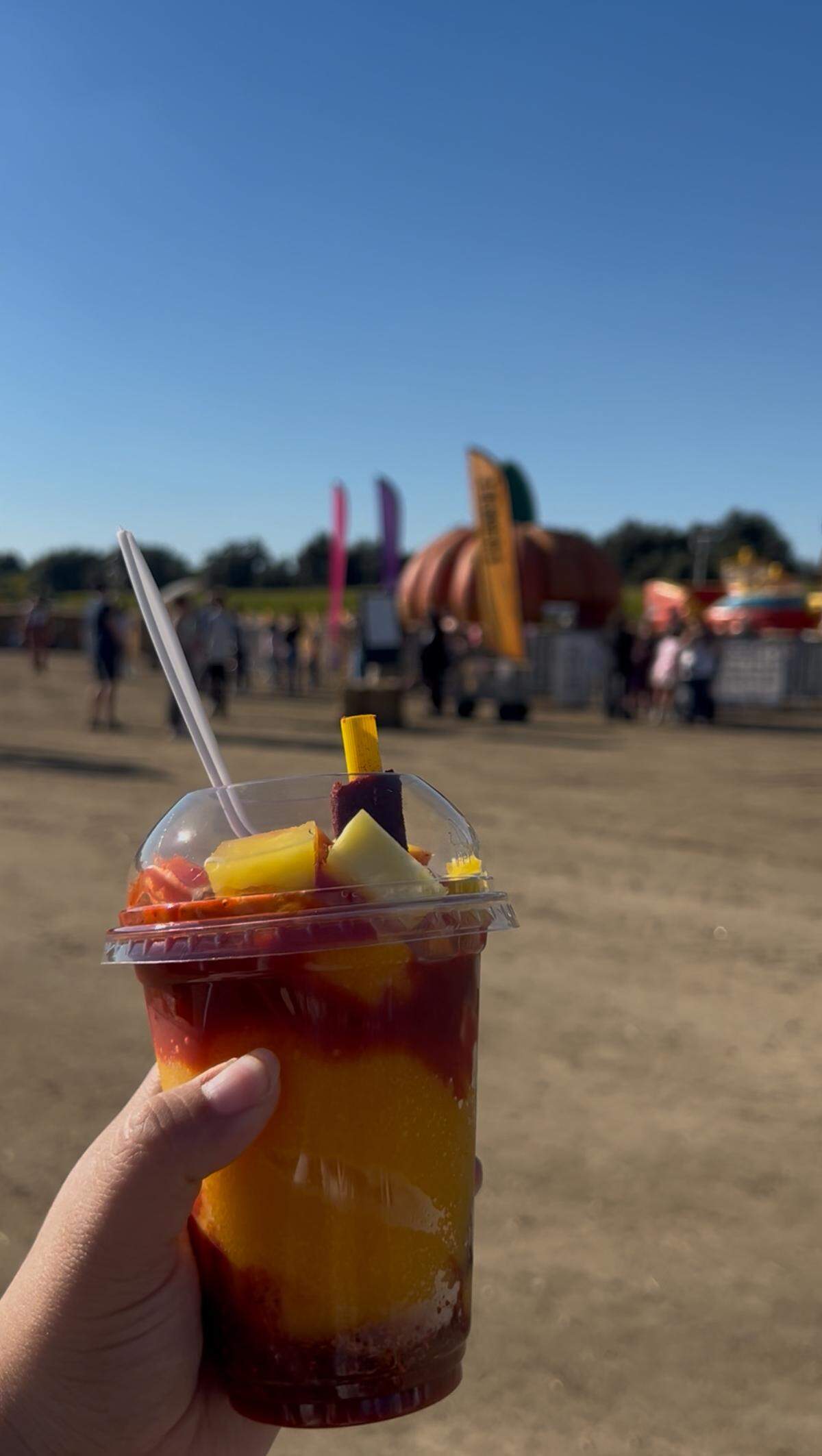 Bobby Dazzler’s Pumpkin Patch in Woodland offers affordable food and drink options including a mangonanda for $8.
