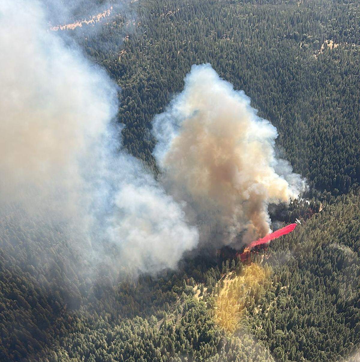 A wildfire called the Coyote Fire burns Wednesday in south El Dorado County. Cal Fire’s Amador-El Dorado Unit reported the fire at 164 acres.