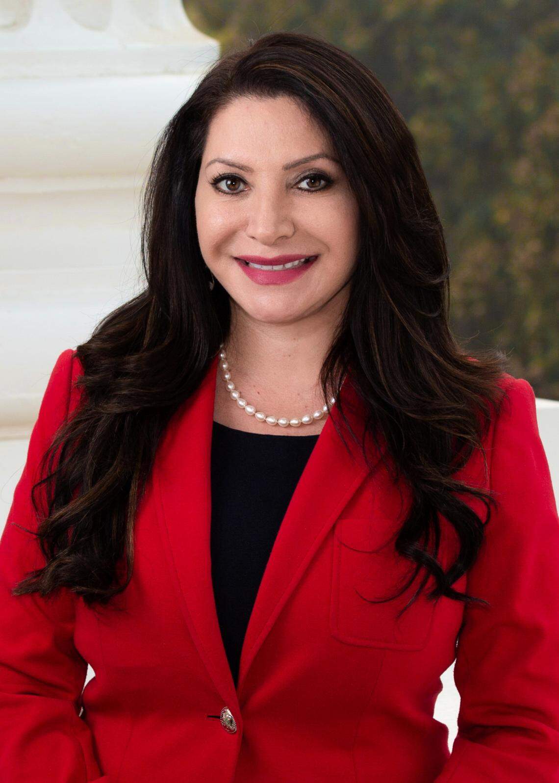 State Sen. Susan Rubio is an internationally recognized domestic violence advocate and chair of the senate select committee on domestic violence.
