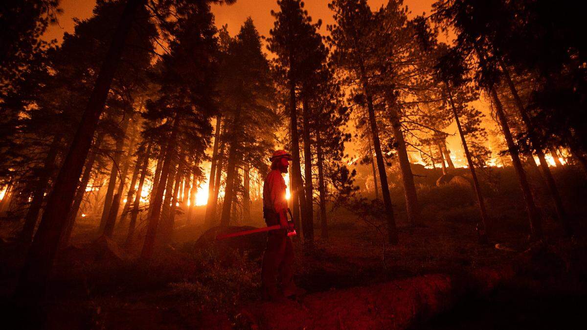 As California burns, anger and pointed questions for caretaker of its vast forests