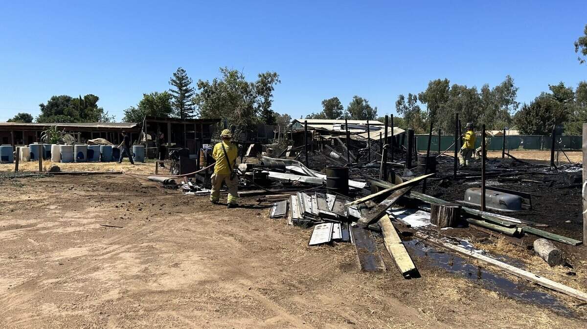 An outbuilding fire killed a pig, goat and several chickens though horses were able to escape Saturday, July 29, 2023, in Rio Linda, California. The cause is under investigation, according to the Sacramento Metropolitan Fire District.