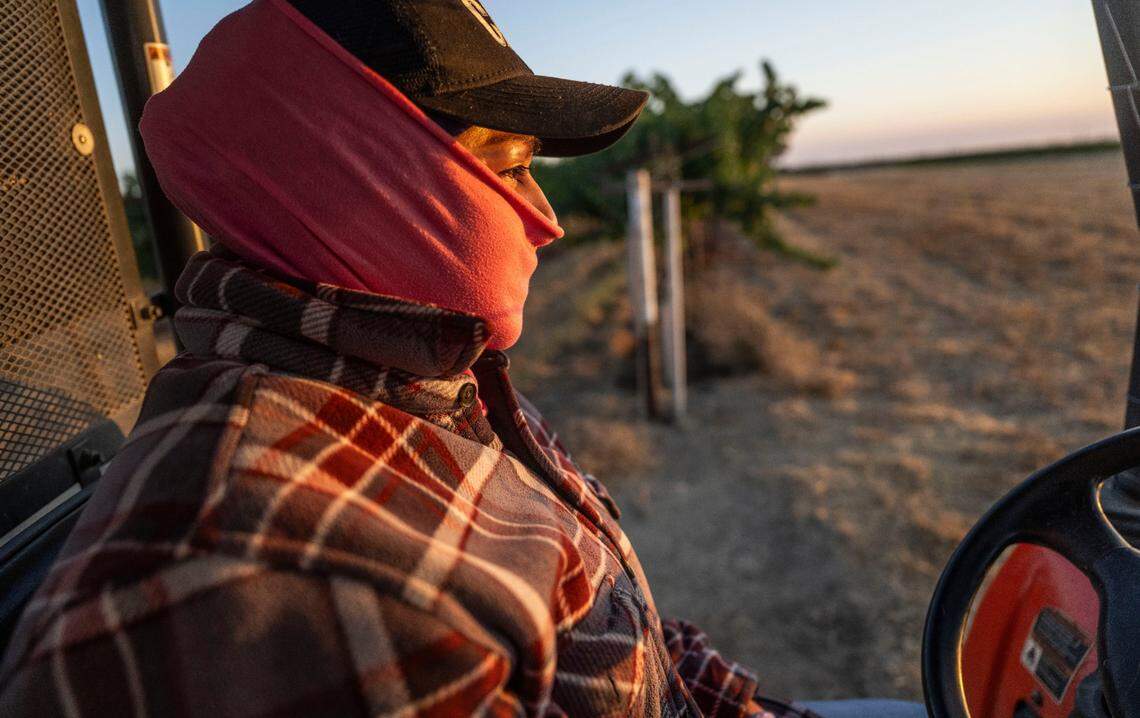 Sayda, a Yolo County farmworker, checks on irrigation valves earlier this month.