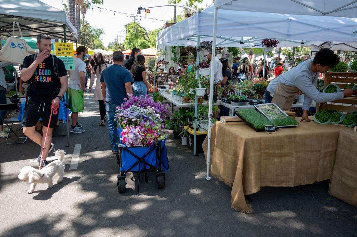 The Midtown Farmer’s Market is a pet-friendly market in Sacramento. However, dogs must also be kept at least 20 feet away from all agricultural producer and food vendor booths.