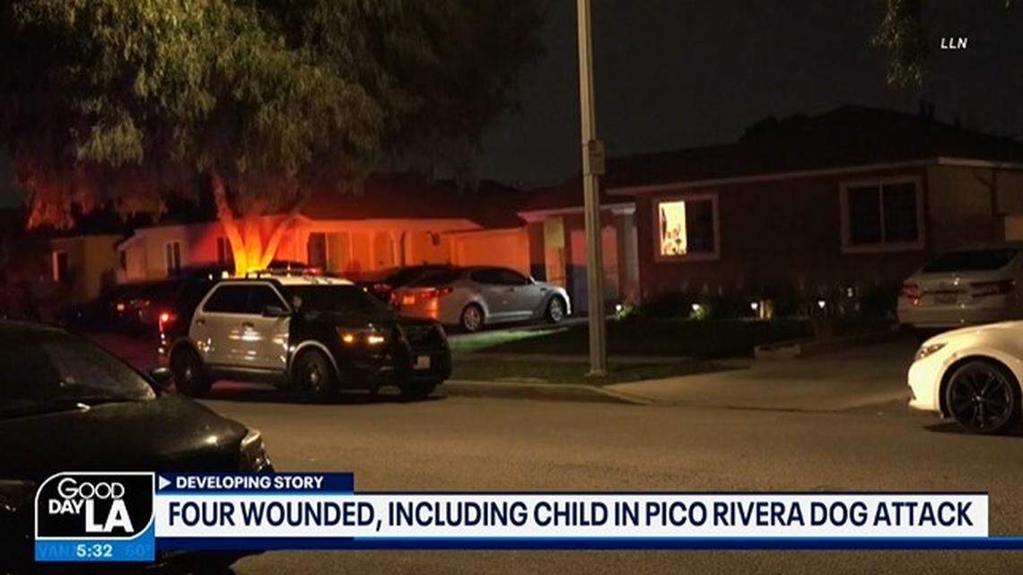 A Pico Rivera, California, mom stabbed two family dogs that attacked her 1-year-old daughter, killing one of the animals, her family says.
