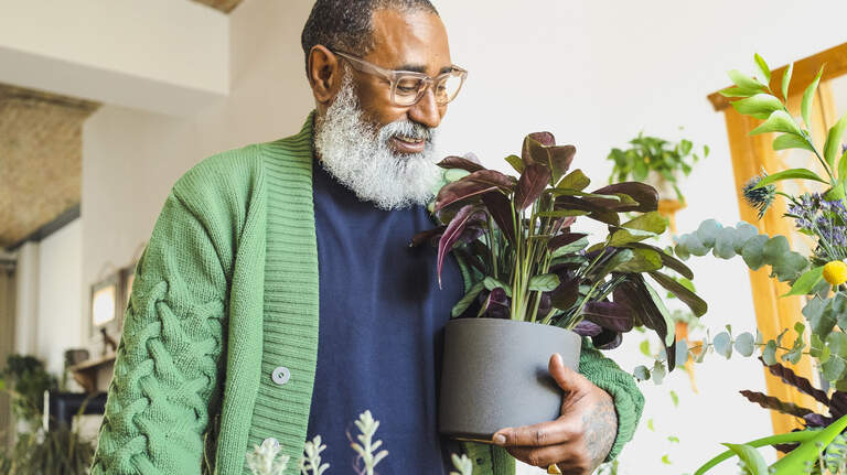 Wellness can grow from a single seed: Here’s a list of houseplants that promote health and happiness