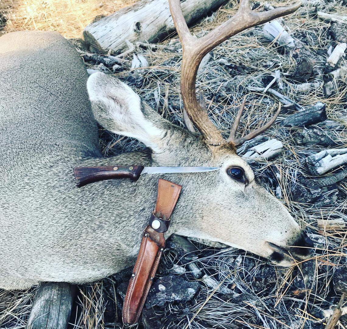 The mule deer buck author Ryan Sabalow killed in Modoc County in October. He’d been waiting to use grandfather’s knife on a deer since he died in 2016 at the age of 80.