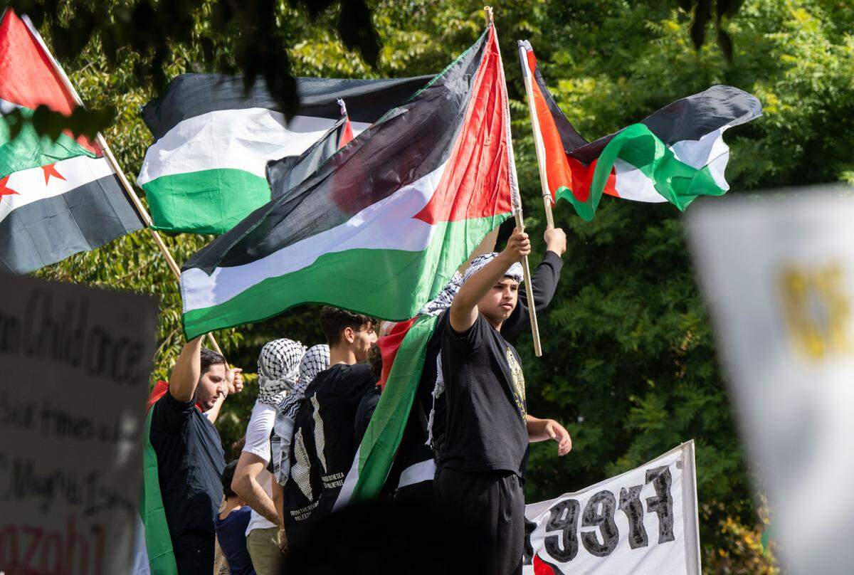 People wave Palestinian flags during a rally in front of the Memorial Auditorium on Saturday to call for a free Palestine and protest the occupation of the Gaza Strip.