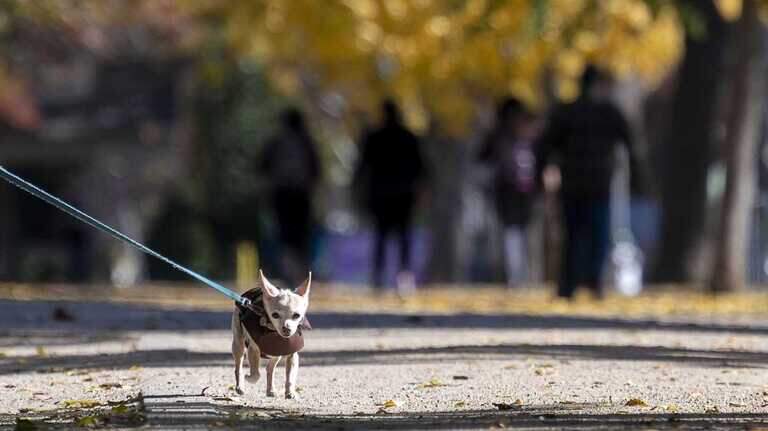 When will Northern California see fall colors? Where are the best places to go?