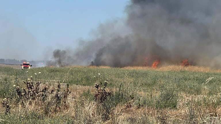 Woodland woman arrested on suspicion of setting 4 grass fires amid red flag conditions