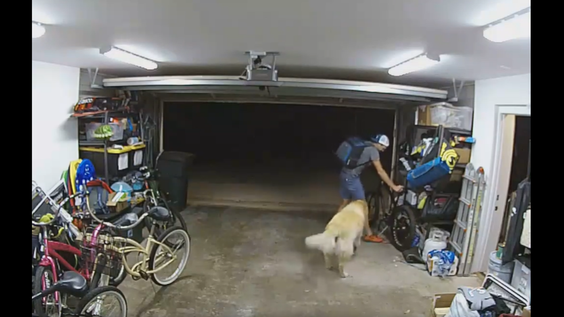 The man reenters the garage to pet the household dog.