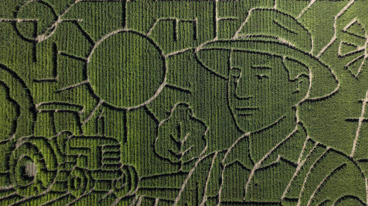The design of this year’s corn maze at Dixon’s Cool Patch Pumpkins, photographed by drone on Monday, features a farmer theme.