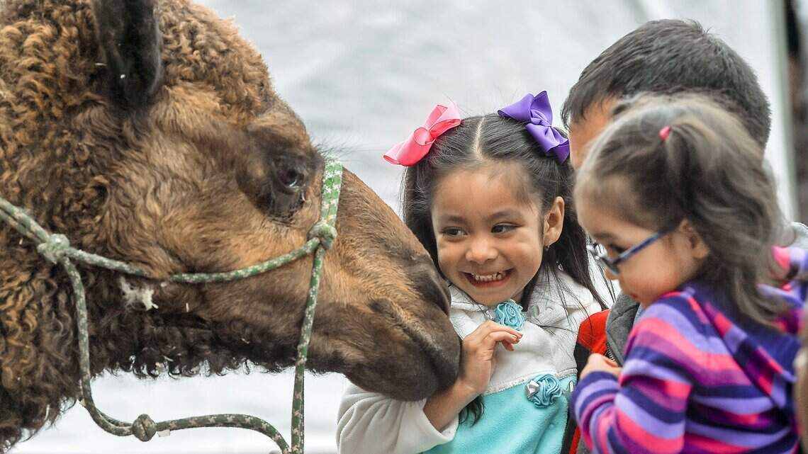 The Sacramento County Fair at Cal Expo is now about 400 days away. Here’s why