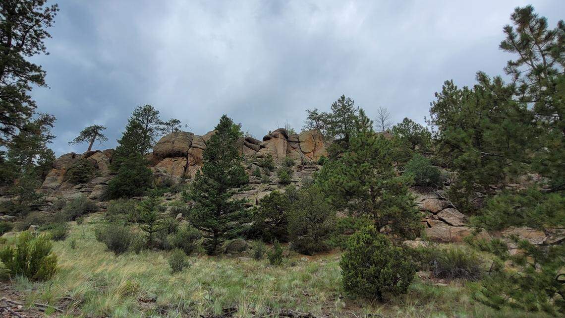 A camper was reported missing near Saguache, Colorado, on Tuesday, July 26, officials said.